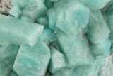 Amazonite Crystal Cluster - Colorado #129239-1